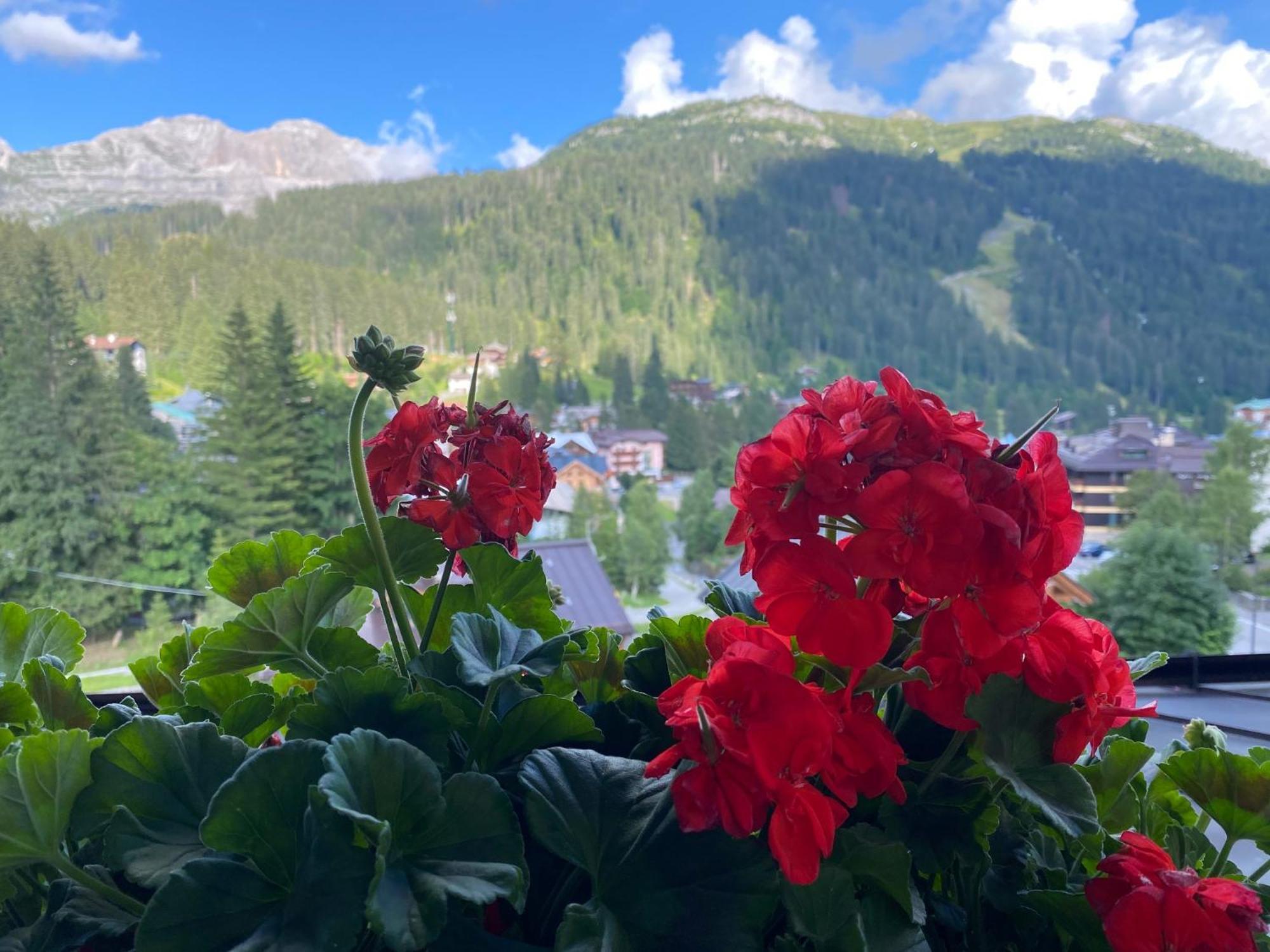 Hotel Dahu Madonna di Campiglio Bagian luar foto